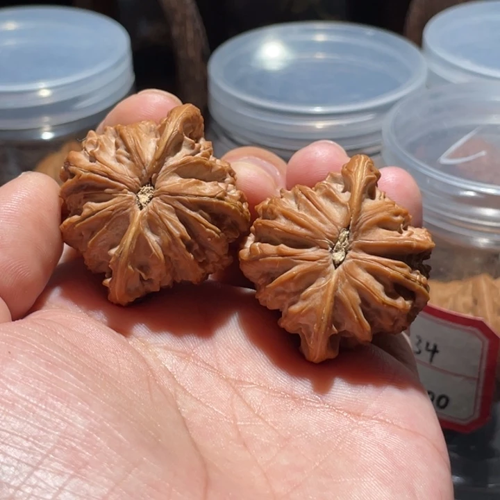 故***泽文玩核桃吊坠40血磨全品