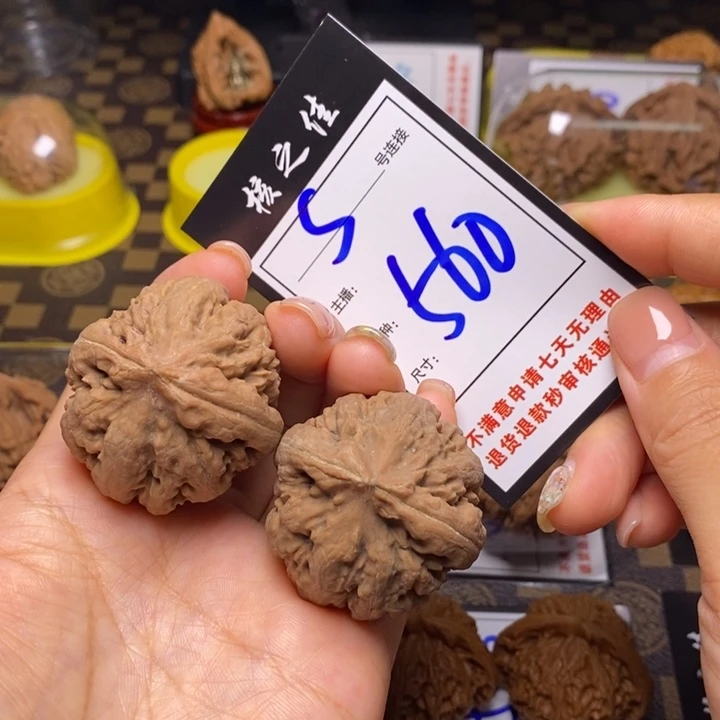 文玩核桃吊坠40霸王龙560