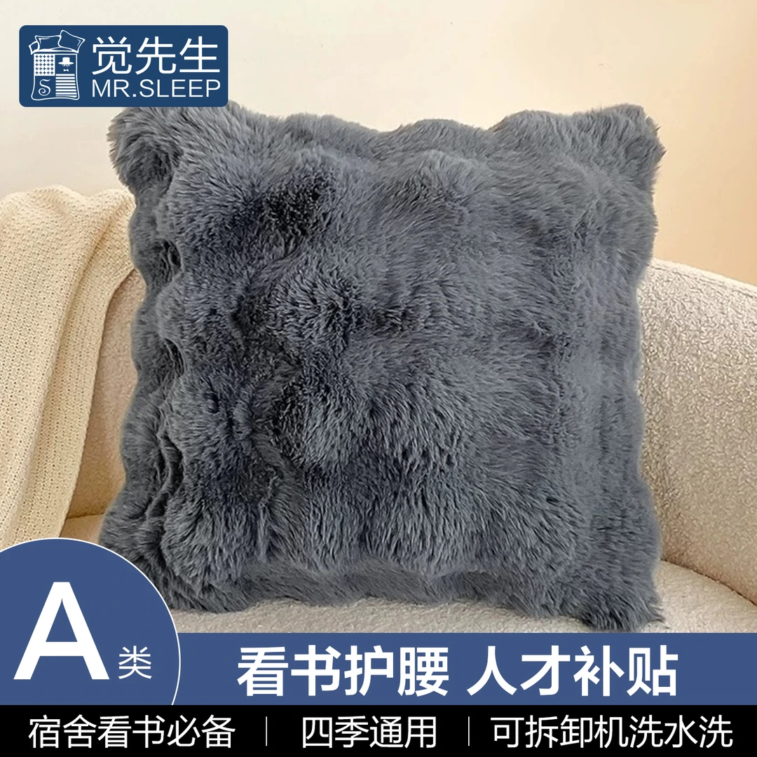 学生宿舍看书A类兔兔绒抱枕套+含抱枕芯两件套 卧室车载办公客厅