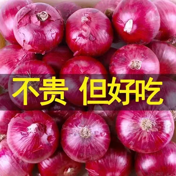 甜洋葱现挖新鲜紫皮炒菜凉拌时令蔬菜脆甜多汁特价