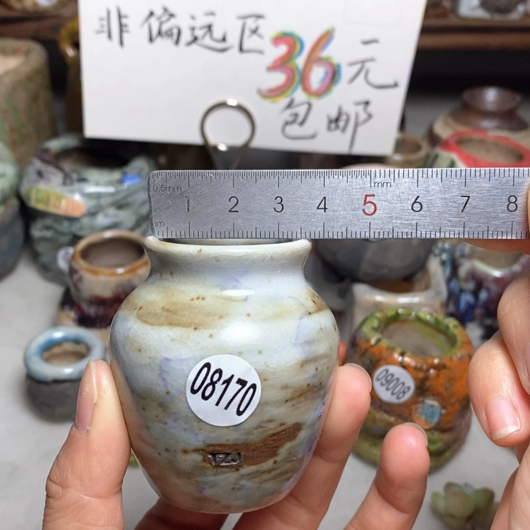 花盆拍5送一个小礼物