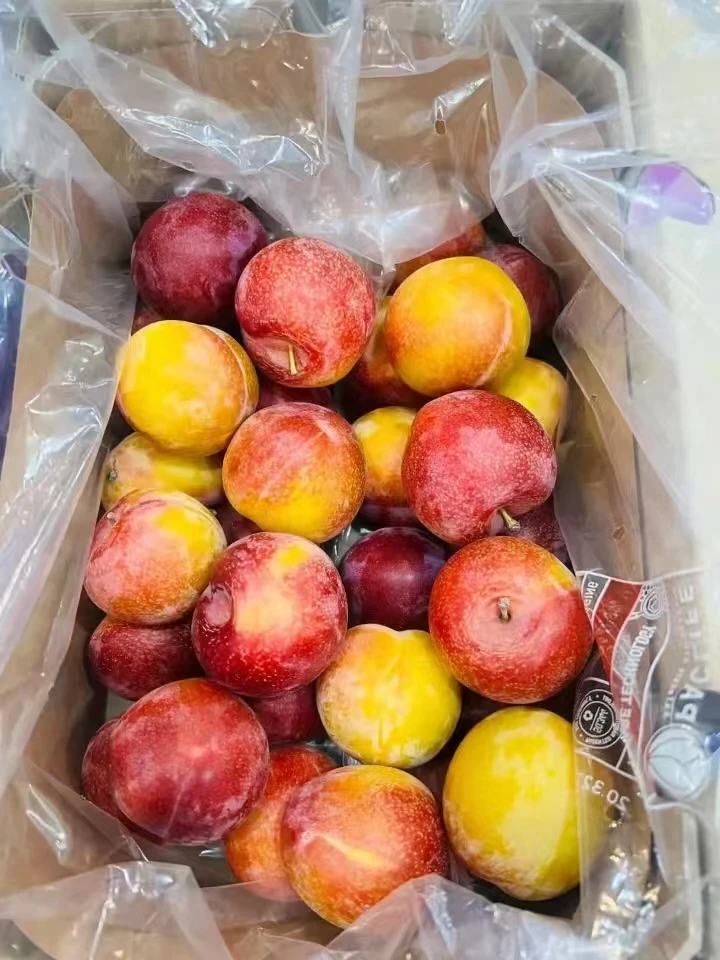 【坏果包赔】智利糖果李7J净重5.4/2斤大果