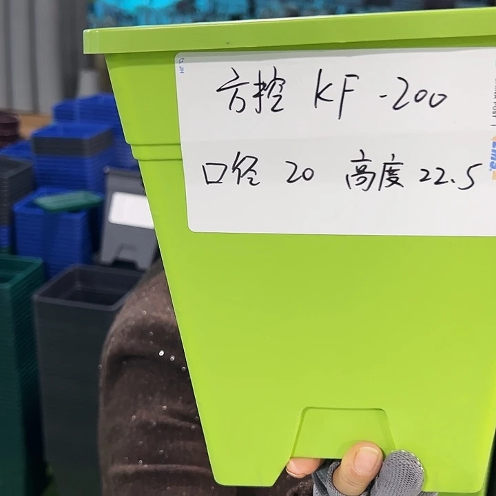 正品方盆口20高22果绿无托6只