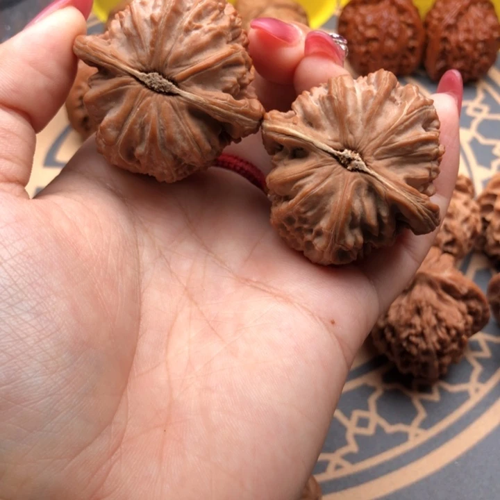 控***i文玩核桃把件42白狮子