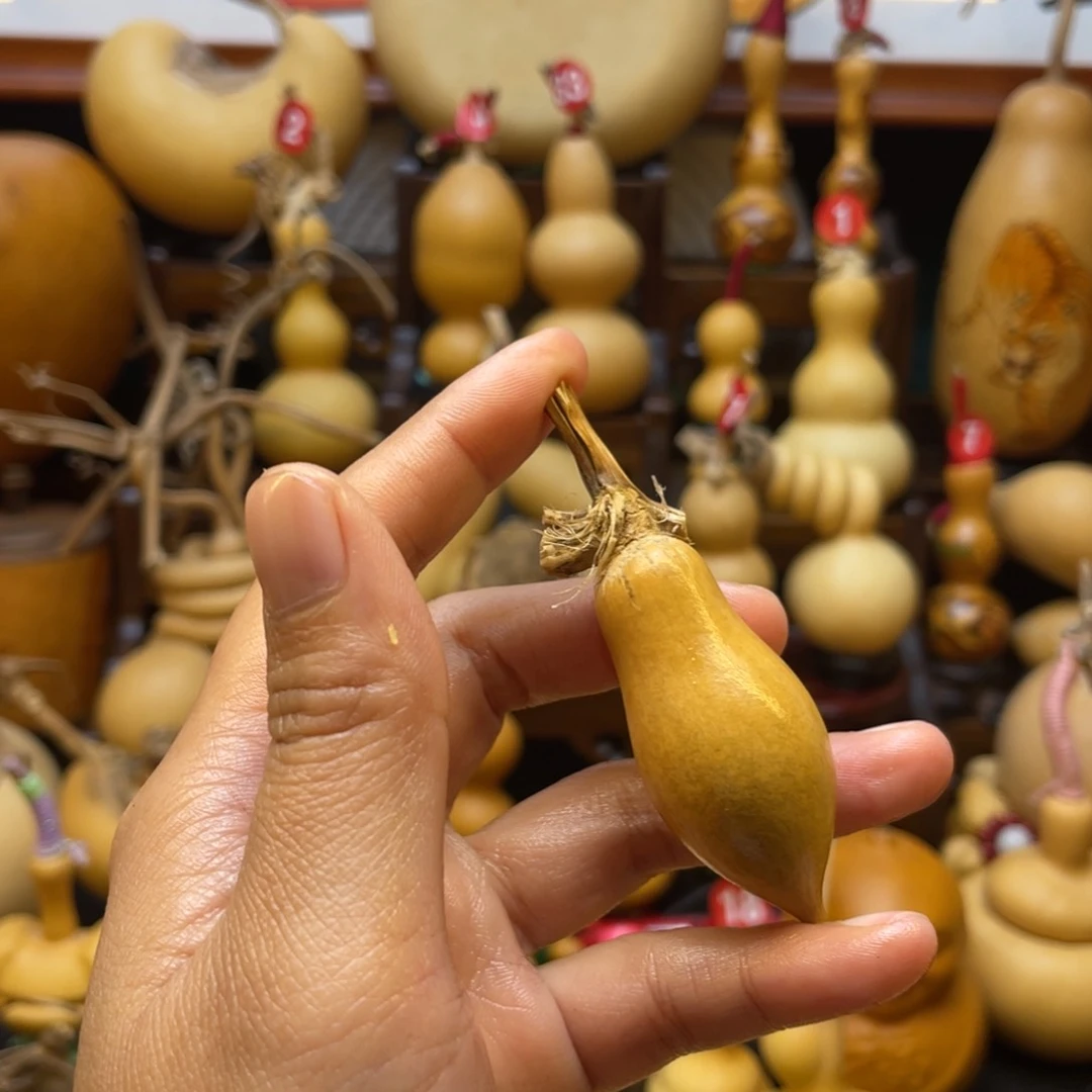 M****)葫芦等多种颜色的小动物在这里