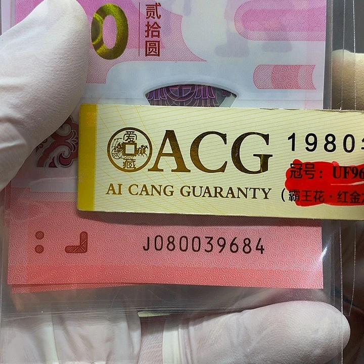 一张一张一张一张一张