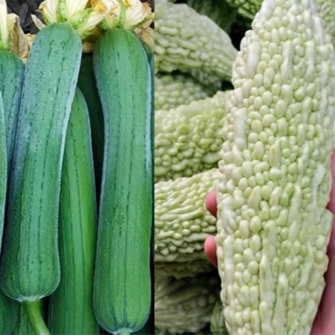【湖南当季蔬菜】正宗本地露天新鲜农家菜自种绿色蔬菜混搭