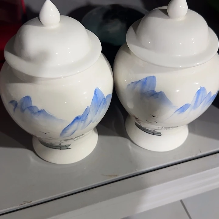 茶叶罐储物罐密封罐！