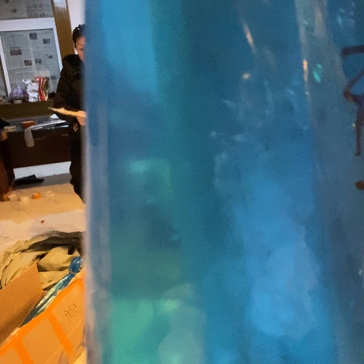 小***3中国大陆渤海湾野生燕鲅鱼I号