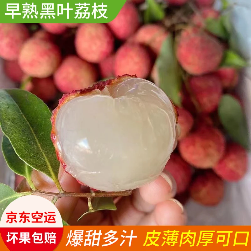 【京东空运】荔枝黑叶荔枝新鲜荔枝现摘现空运妃子笑白糖罂包邮到家