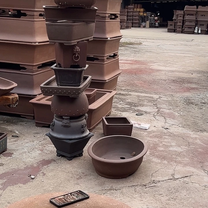 花盆紫砂mmmmmmmmmmm