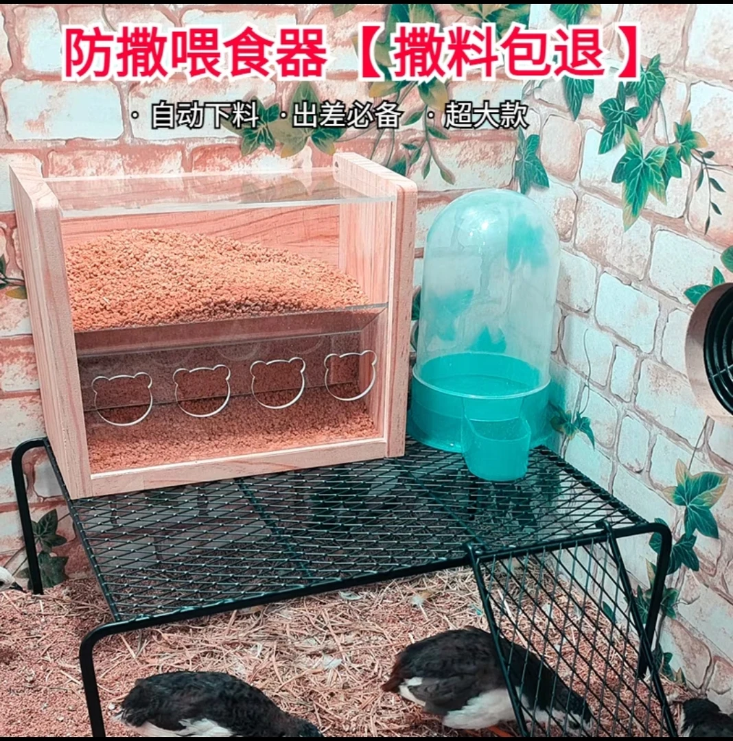 芦丁鸡木质食盒双层超大容量鸟用喂食器亚克力材质实用可装3斤粮