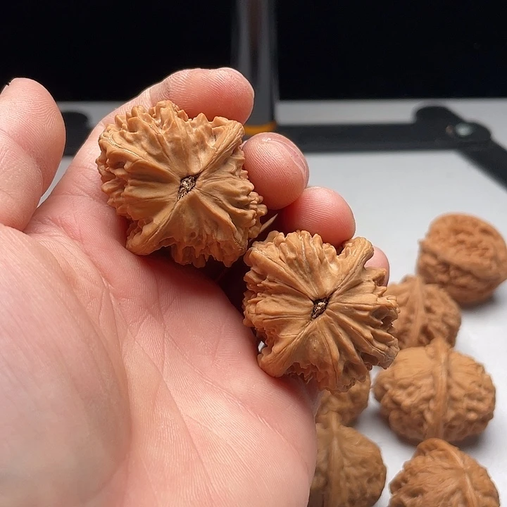 吊坠文玩核桃m****r粗筋马蹄