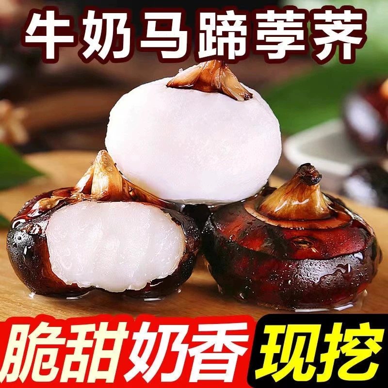 【买3送2】广西贺州特产水果红皮马蹄新鲜荸荠脆甜多汁