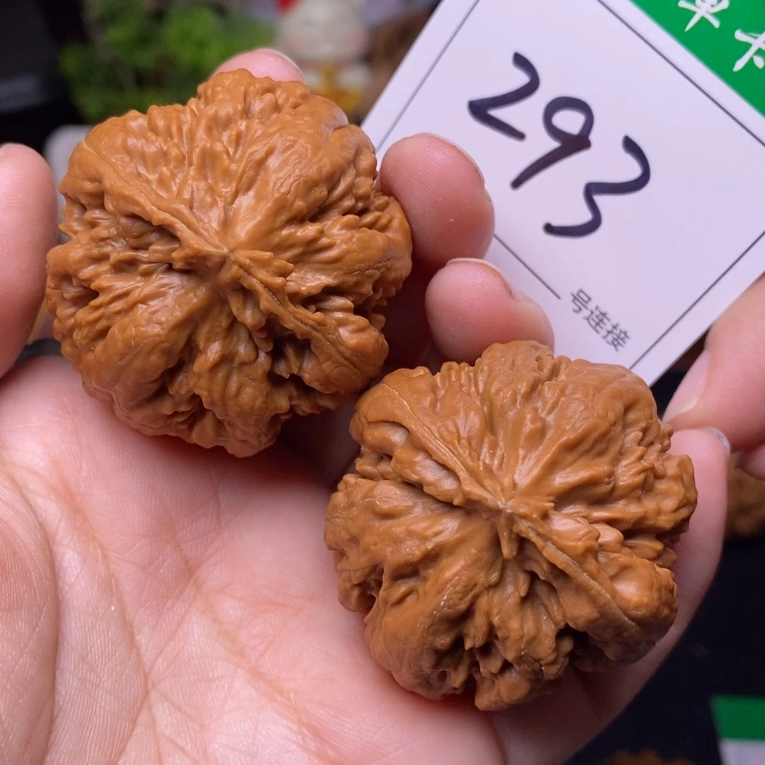 把件文玩核桃293霸王龙4.2