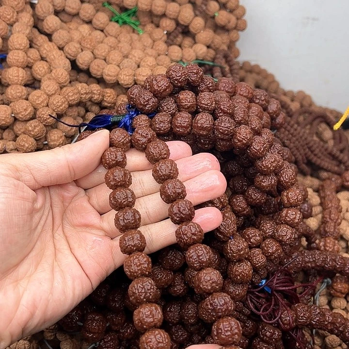 金刚菩提手串老树梅花