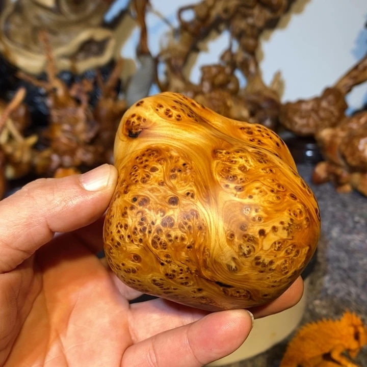 风车木（黑檀木）大*哥