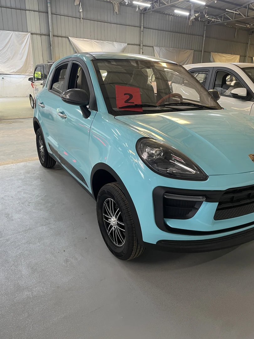 低速代步车(定金专用)拍前请联系客服