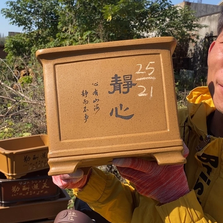 花盆紫砂紫砂特疼，紫砂