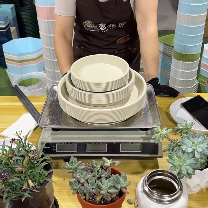 ?****星派大星专属托盘共30只