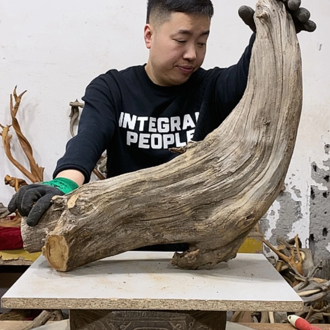 【闪购商品】柏木小*我们都是好孩子