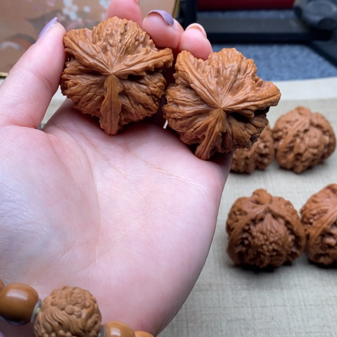 用****3白狮子1111111111111