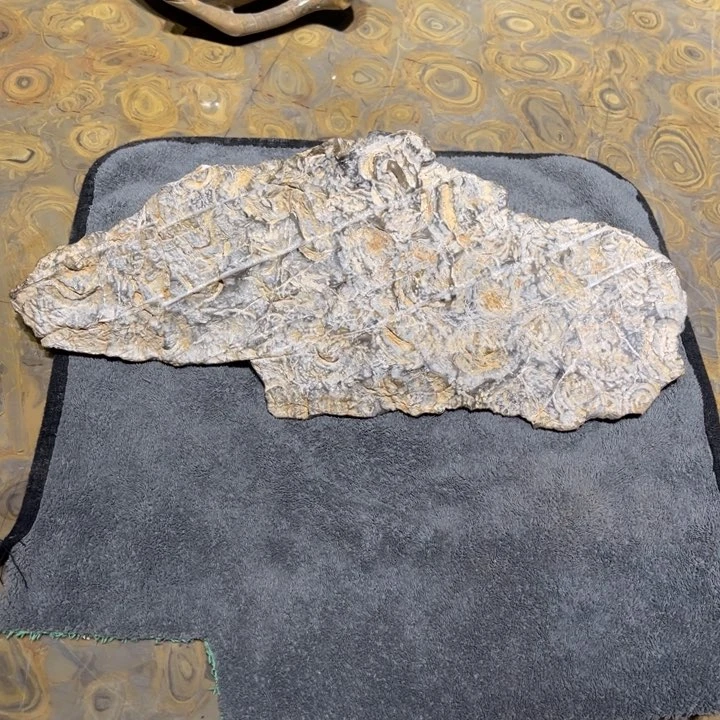 紫砂茶盘Z*T金钱石头