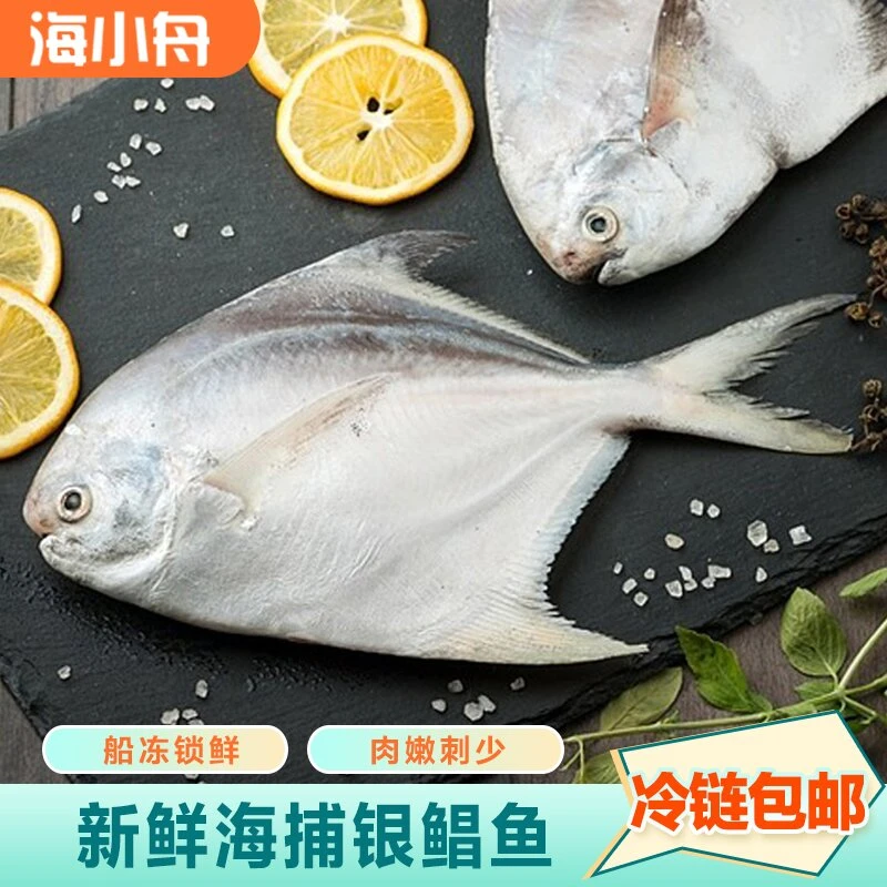 新鲜深海海捕银鲳鱼 当季捕捞肉质美味5条/斤共3斤