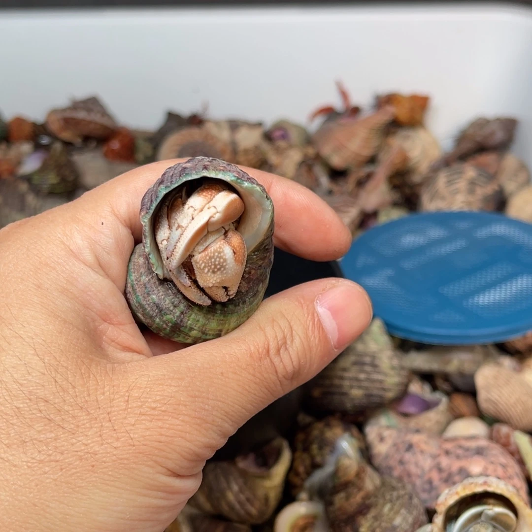 沐***铃小哥好漂亮打完之后还