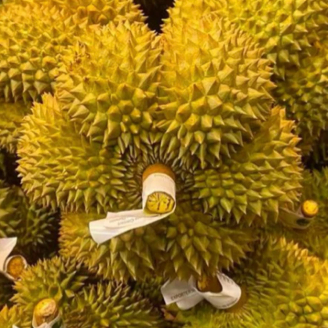 新鲜泰国金枕核小（两斤装纯肉）金枕泰国