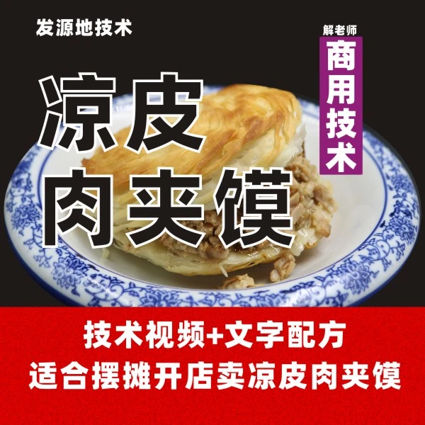 3陕西凉皮+肉夹馍技术（视频教程+文字配方）解老师