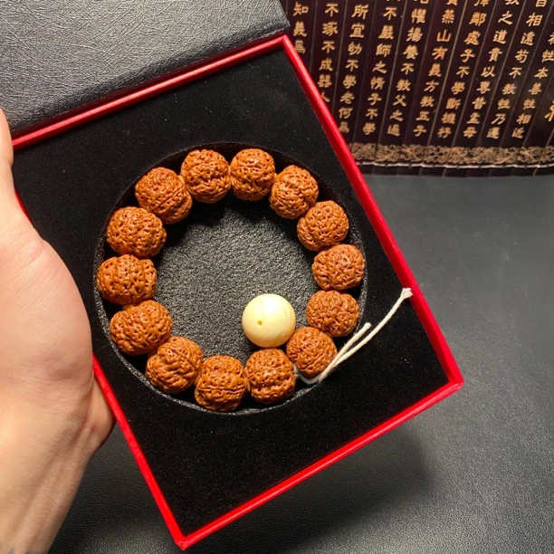 超头大金刚蜂窝梅花（13号）