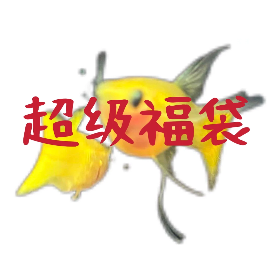 孔雀鱼小型热带鱼（福袋不在赔付范围内）