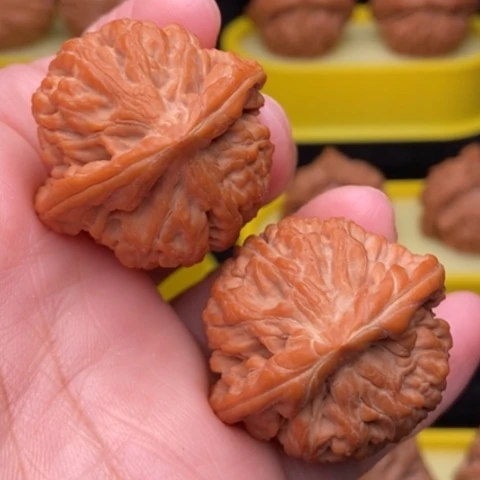 莲花狮子头36全品1111111