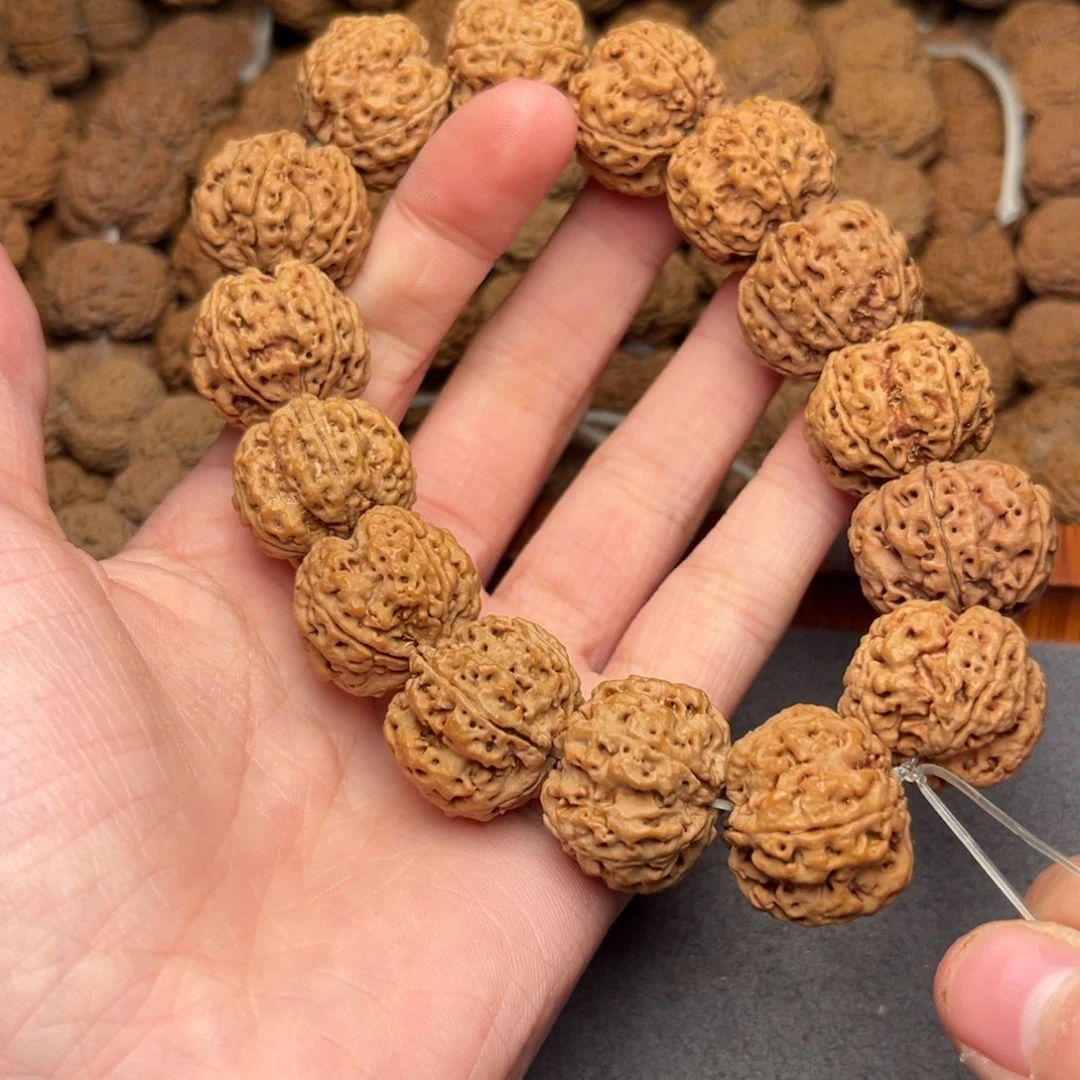 菩提17号尼泊尔大金刚21梅花豆腐块