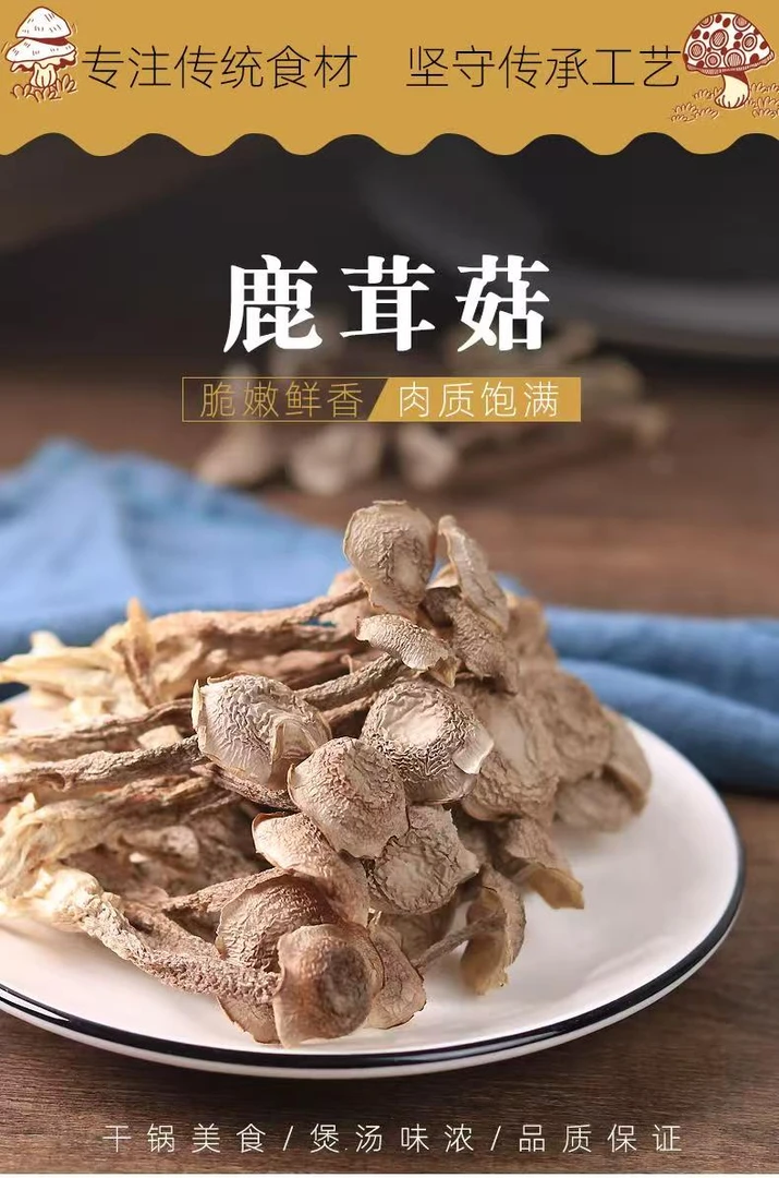 甄选鹿茸菇嫩菇仔干货头茬新货可用于凉拌炒肉煲汤食材菌菇