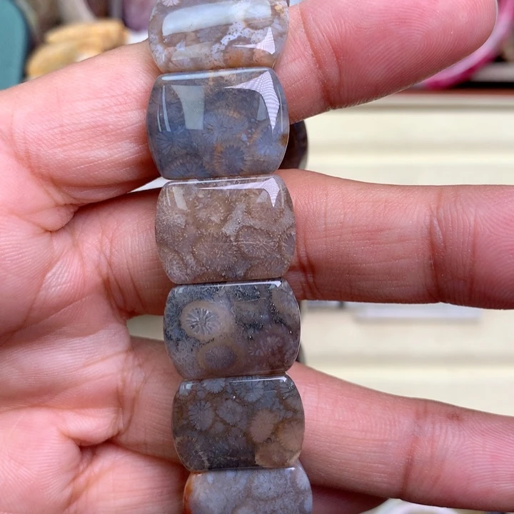 硅化珊瑚（珊瑚玉）未镶嵌颈饰