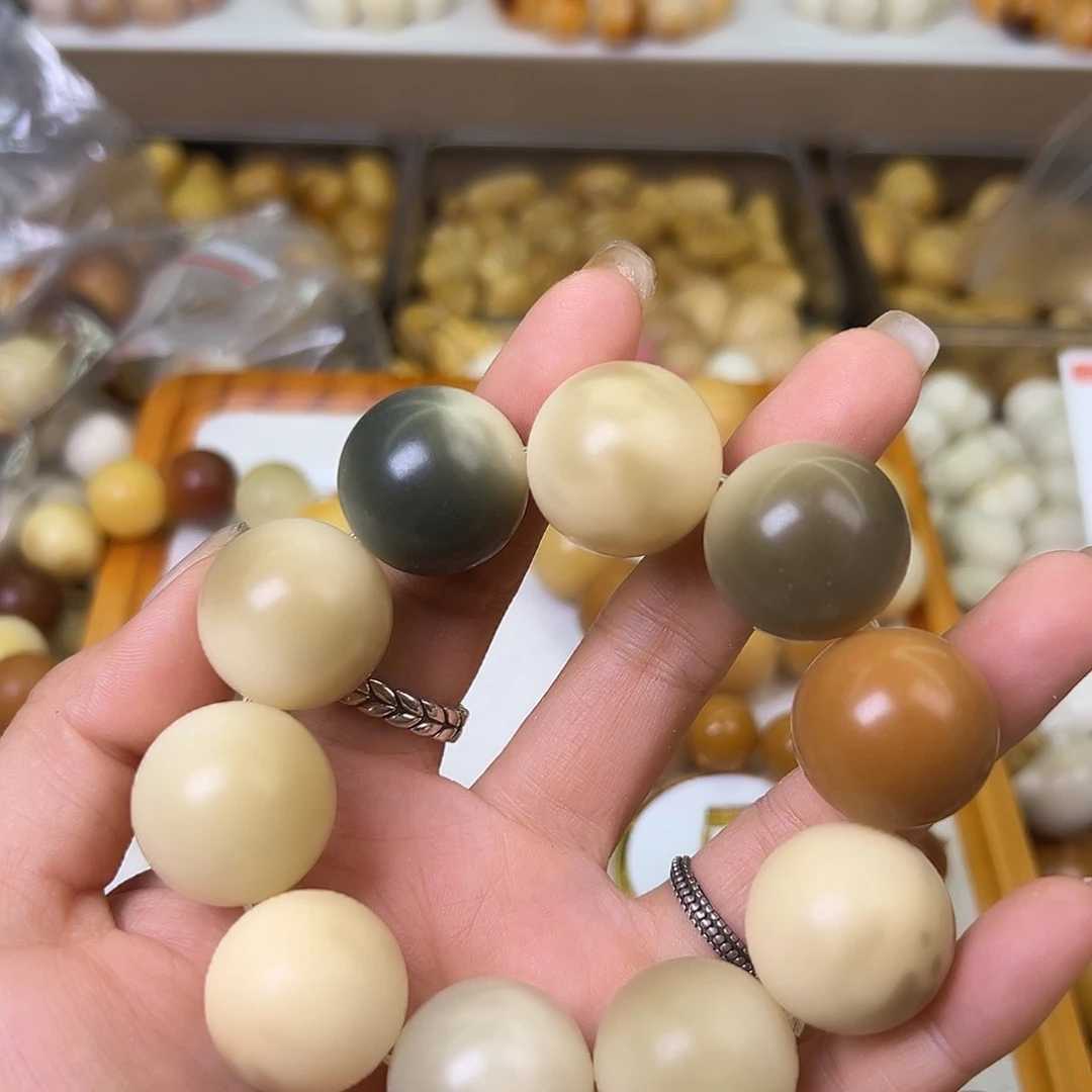 菩提根/象牙果手串微瑕23干磨圆1条