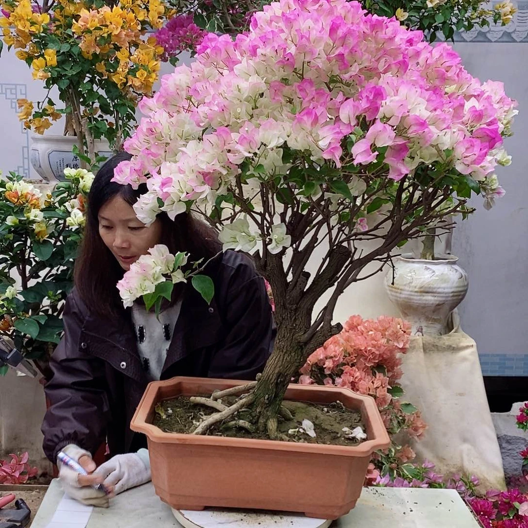 完全开放我要好好学习