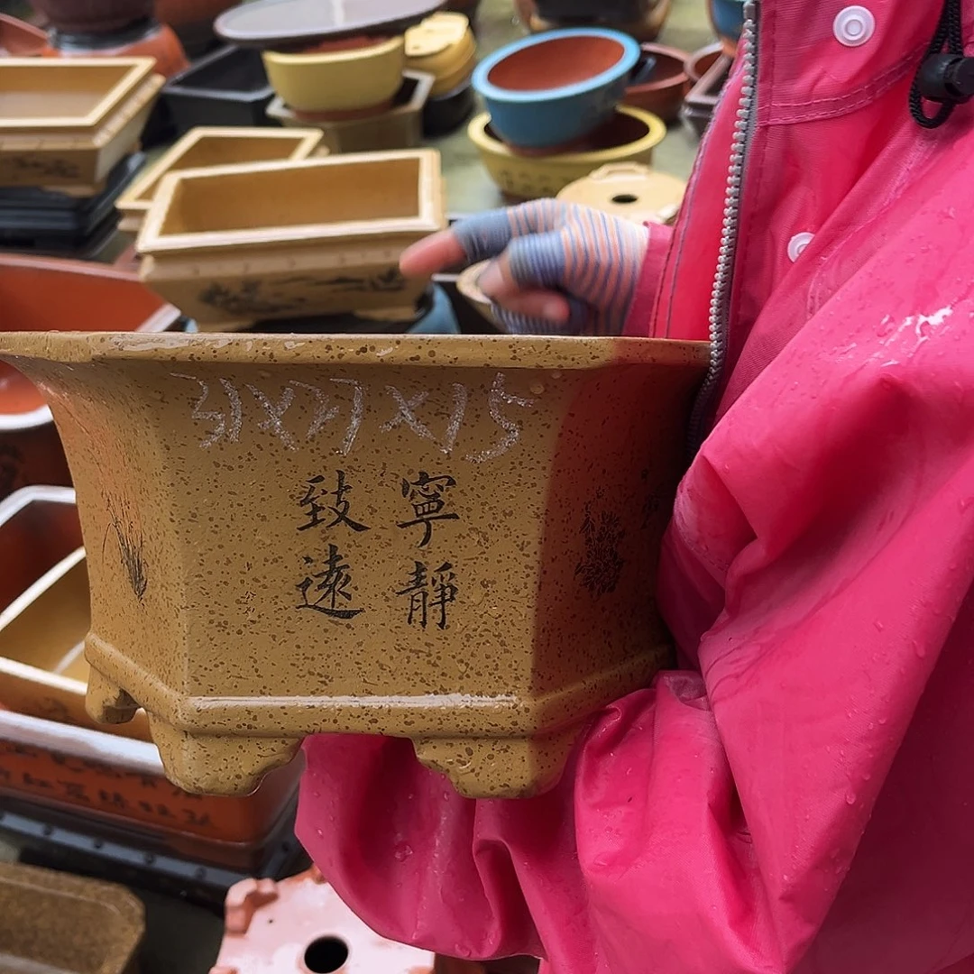 紫砂花盆盆景艺术