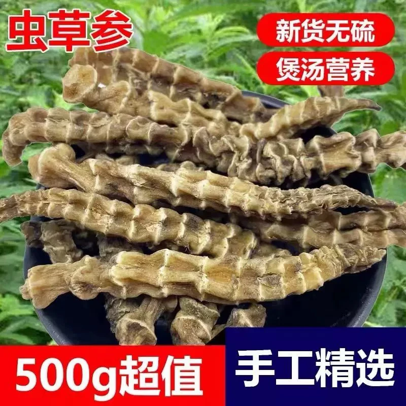 深山特产 优质虫草参 地参净重500克滋补煲汤泡酒