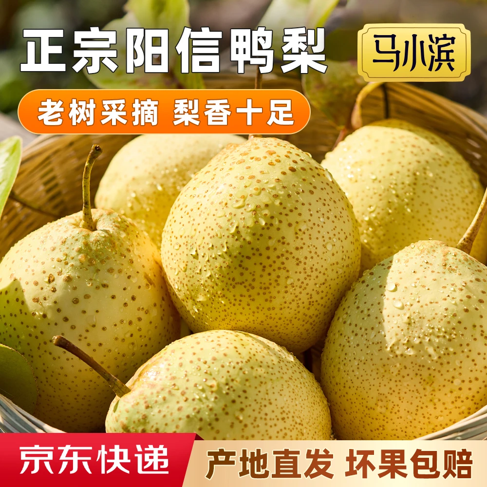 【京东包邮】百年老树鸭梨雪梨山东产地直发正宗酥脆多汁高质量水果