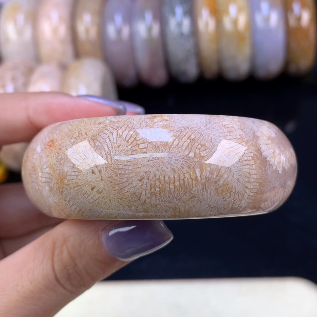 硅化珊瑚（珊瑚玉）未镶嵌吊坠(赠链)上新镯饼可做54以下（76号）