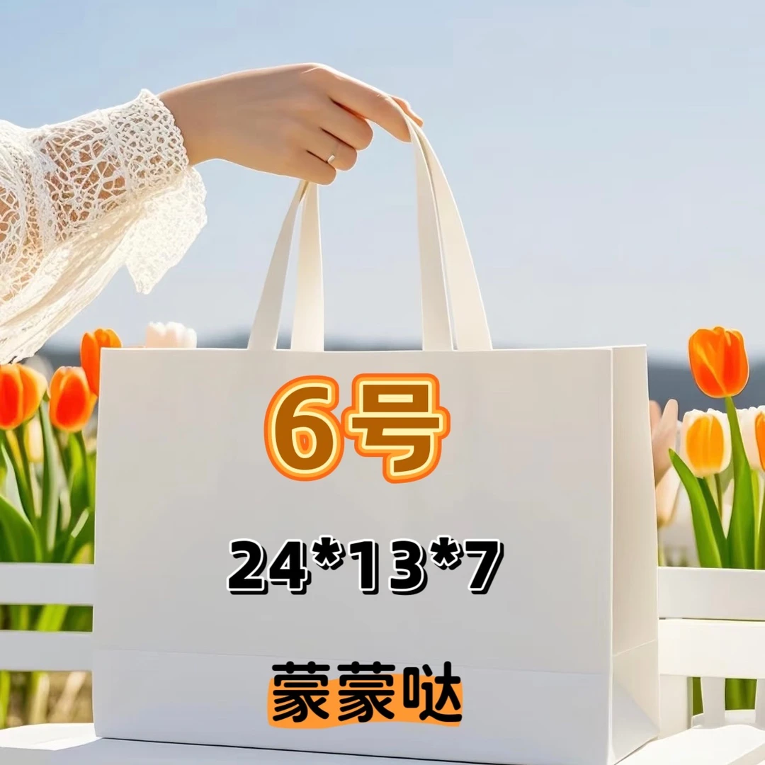 6号（S）经典款充满爱心的链条单肩包