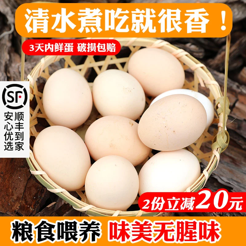 北京密云农家散养土鸡蛋 新鲜  笨鸡蛋正宗柴鸡蛋30枚