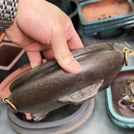 紫砂花盆漂亮漂亮