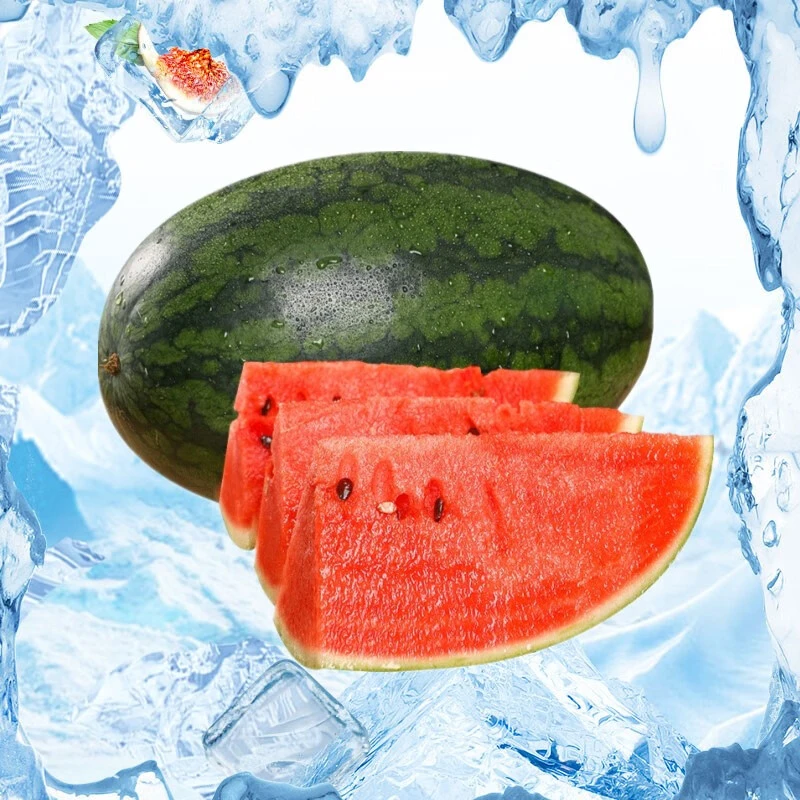 黑美人西瓜(OL)4kg-5kg/个