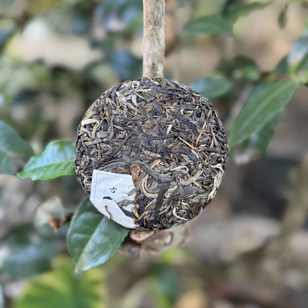2024年 百花潭古树大树混采 头春头春普洱茶生茶 100克饼（带茶样）