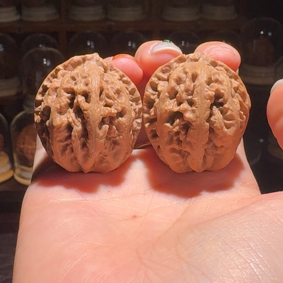 文玩核桃吊坠蚂蚁龙珠