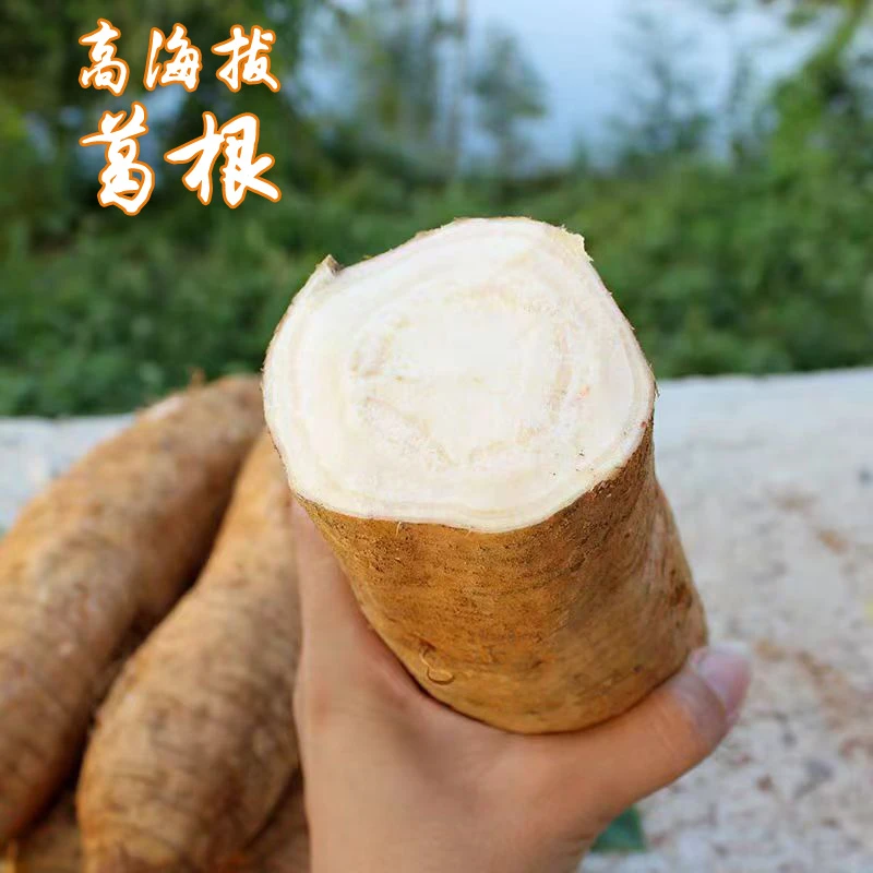 贵州农家鲜葛根新鲜高海拔山坡自种可生吃煮吃煲汤日常滋补